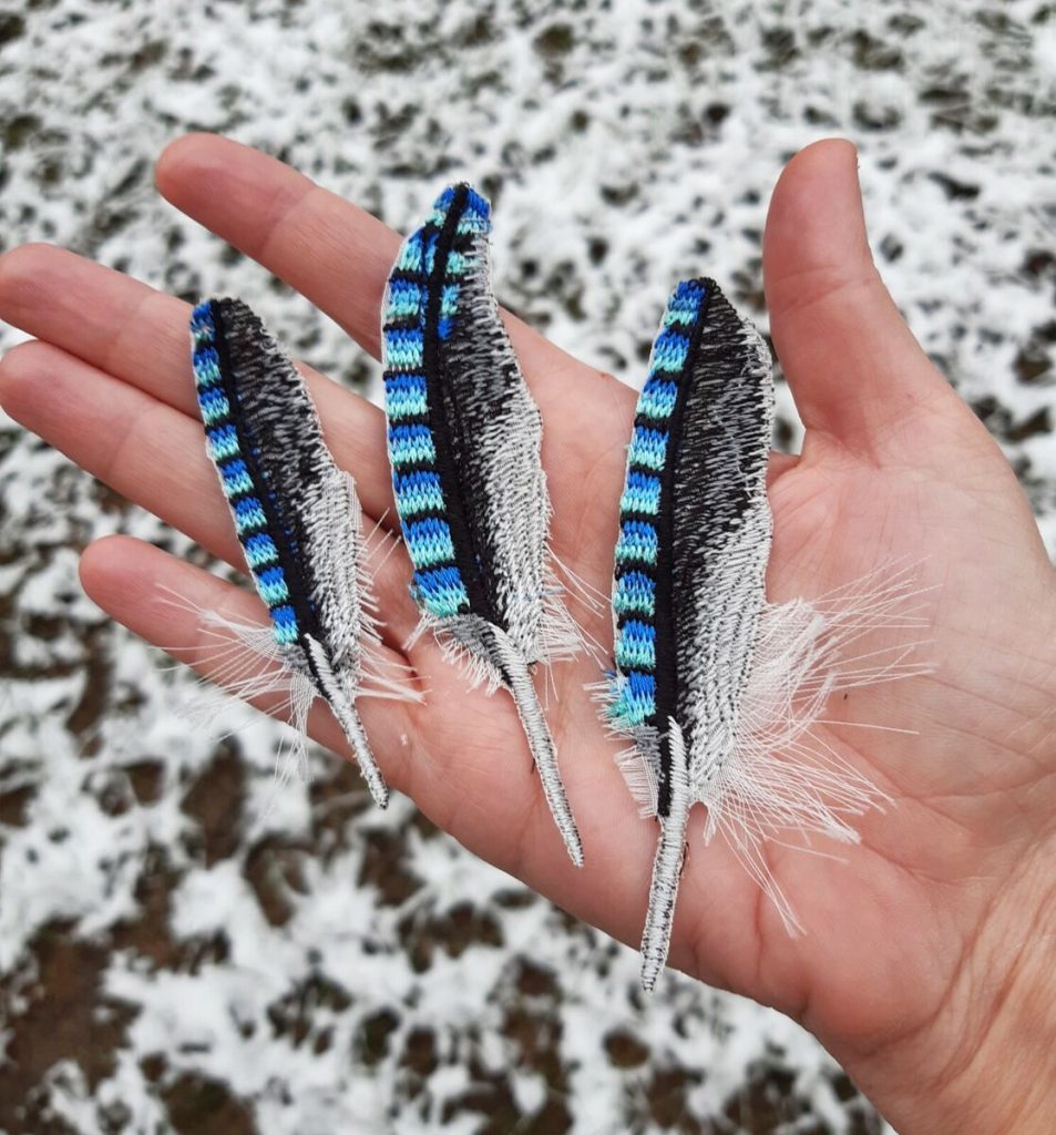 BLUE JAY FEATHERS