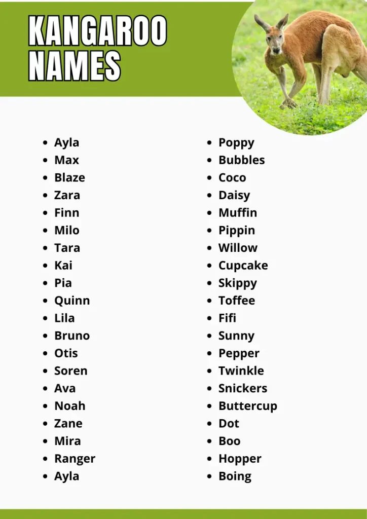 kangaroo names