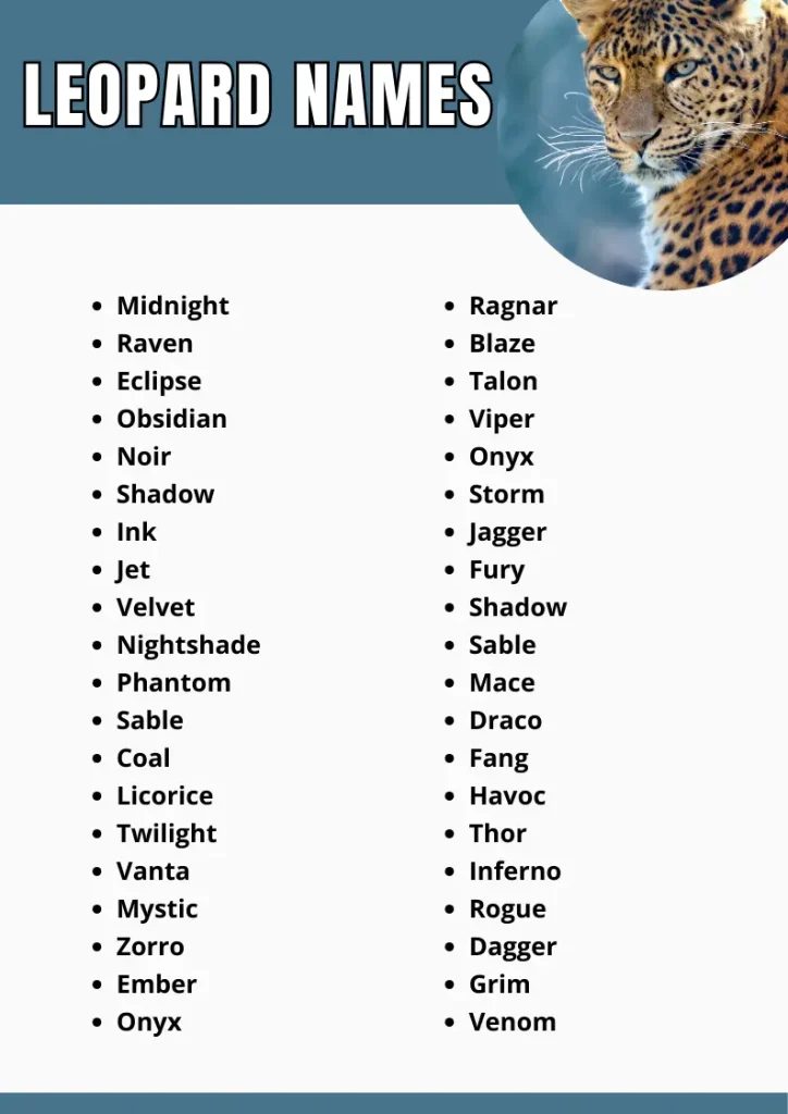 Leopard Names